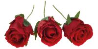 Rosenbox mit zwölf Rosenköpfen am biegsamen Pick Kunstblumen 17 cm 12 Stk rot