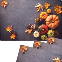 Tischset Platzsets MOTIV abwaschbar Kürbisse Herbstlaub Herbst Beton bunt 4er