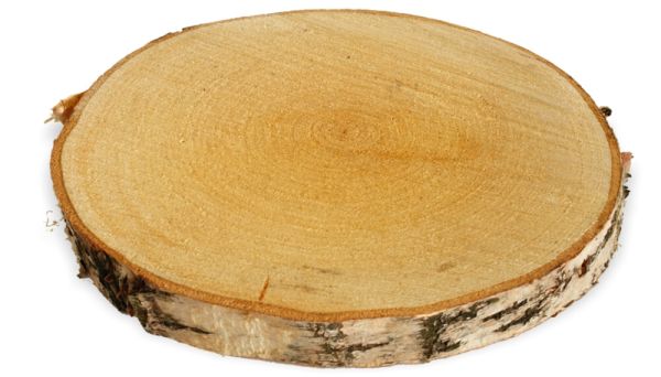 Baumscheibe Holzscheibe zum Basteln Dekorieren 25 - 30 cm