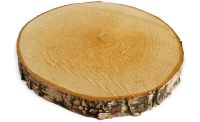 Baumscheibe Holzscheibe zum Basteln Dekorieren 20 – 25 cm