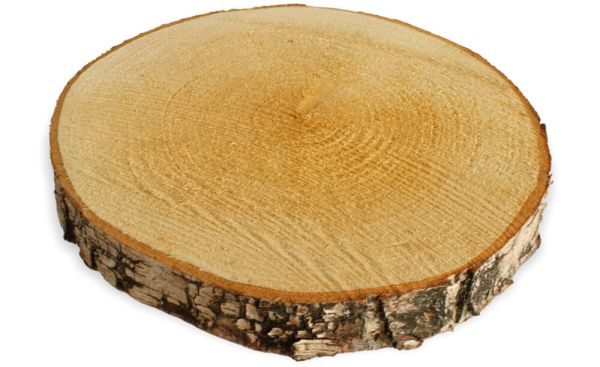Baumscheibe Holzscheibe zum Basteln Dekorieren 20 - 25 cm