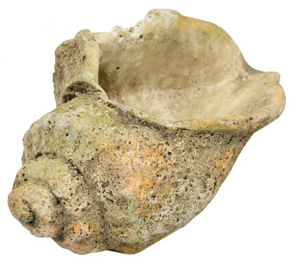 Pflanzmuschel Muschelform Pflanzschale Antik Muschel braun Zement 1 Stk - 23x15 cm