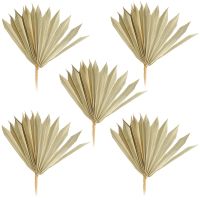 Palmsonnen Deko Naturdeko Bastelmaterial Gestecke natur 5er Set 11-22 cm