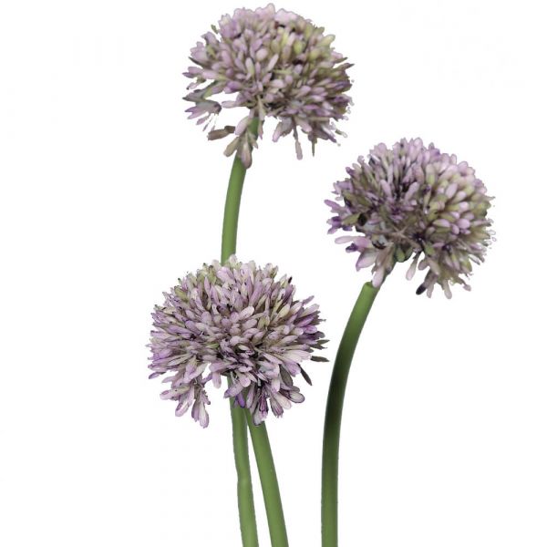 Lauch Blüten Allium Kunstblumen Kunstpflanzen 3er Bund - 34 cm - lila kaufen