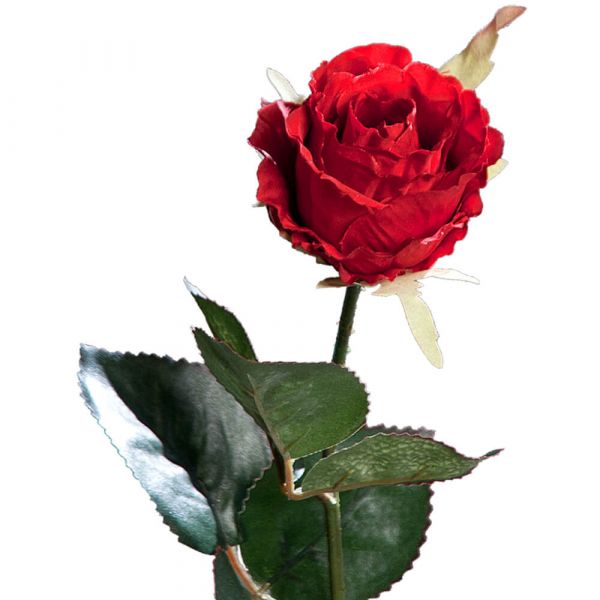 Rose Kolumbien Kunstblume Stielrose Kunstpflanze Blüte - 1 Stk 37 cm - rot