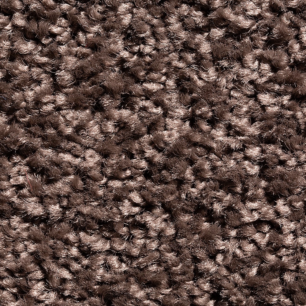 Schmutzfangmatte schmutzabsorbierend Fußmatten Uni einfarbig 40x60 cm 8 Farben 
