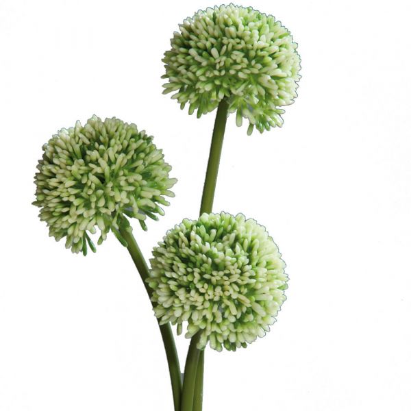 Lauch Blüten Allium Kunstblumen Kunstpflanzen 3er Bund - 46 cm - weiß grün