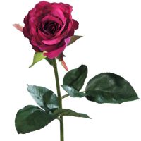 Rose Equador Kunstblume Stielrose Kunstpflanze Blüte 51 cm 1 Stk pink / fuchsia