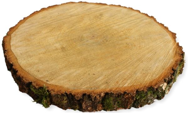 Baumscheibe Holzscheibe zum Basteln Dekorieren 35 - 40 cm