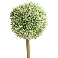 Lauchblüten Allium Kunstblumen künstlich Kunststoff 1 Stk Ø 11x67 cm - weiß-grün Grün