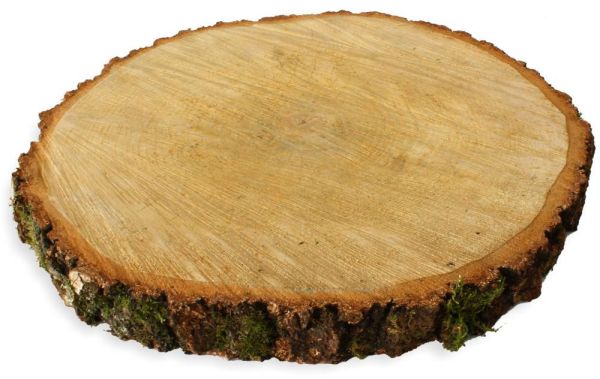 Baumscheibe Holzscheibe zum Basteln Dekorieren 40 - 45 cm
