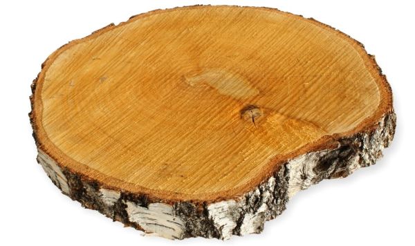 Baumscheibe Holzscheibe zum Basteln Dekorieren 30 - 35 cm