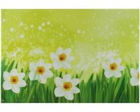 Tischset Platzset Textil CLOTH Busch-Windröschen Blumenwiese weiß grün 45x30 cm