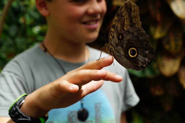 Kind hält Schmetterling