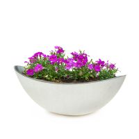 Ovale Jardiniere Blumentopf Kunststoff cremefarben glänzend 1 Stk 55x15x17 cm