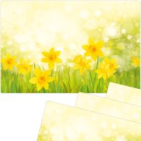 Tischsets Platzsets MOTIV abwaschbar Frühling gelbe Osterglöckchen Blumen 4er