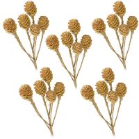Salignumzweige 6 Köpfe ohne Blätter Trockenblumen basteln natur hell 5er Set