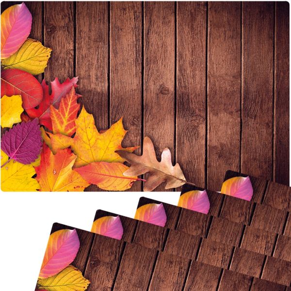Tischsets Platzsets MOTIV abwaschbar buntes Herbstlaub Blätter Holz bunt 6er