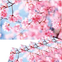 Tischsets Platzsets MOTIV abwaschbar Frühling Kirschblüten rosa blau 6er