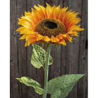 Kunstblume Sonnenblume großer Blütenstiel Optik täuschend echt 100 cm 1 Stk gelb
