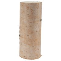 Echtholz Birkenstämmchen Holzstamm Baumstamm Holz gerader Schnitt - 20 cm