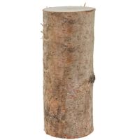 Echtholz Birkenstämmchen Holzstamm Baumstamm Holz gerader Schnitt - 30 cm