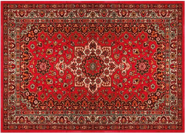 Fußmatte Fußabstreifer DECOR Perser Ornamente rot Orientalisch waschbar 50x70 cm