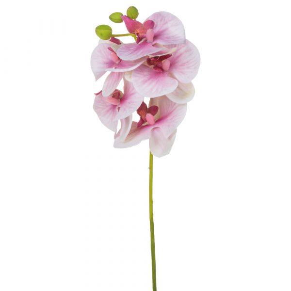 Deko Orchidee mit Blüte, Knospe und Real Touch Gefühl 37 cm 1 Stk rosa