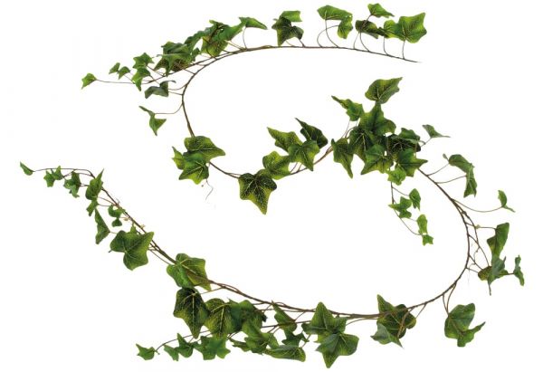Künstlicher Deko Efeu Girlande Busch Blätter grün & weiß gepudert 1 Stk 180 cm