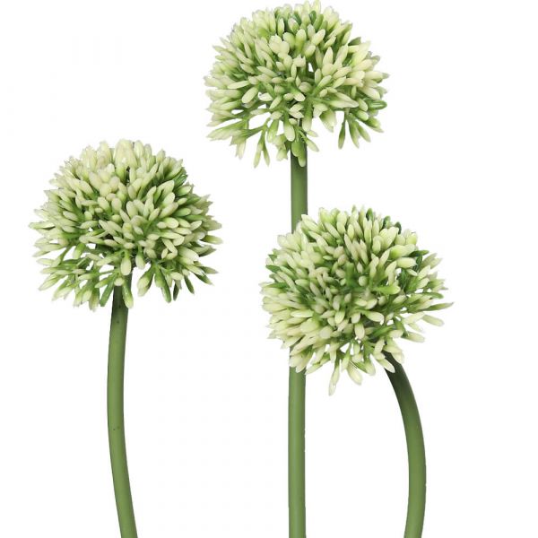 Lauch Blüten Allium Kunstblumen Kunstpflanzen 3er Bund - 34 cm - weiß grün