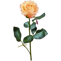 Rose Madame Kunstblume Stielrose Kunstpflanze Blüte 37 cm 1 Stk - apricot