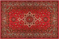 Fußmatte Fußabstreifer DECOR Perser Ornamente rot Orientalisch waschbar 40x60 cm