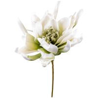 Kunstblumen Lotus creme Pflanzen Deko Ø 20x60 Schaumstoff