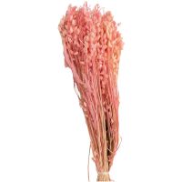 Briza Maxima großes Zittergras Trockenblume Natur 1 Beutel 50g gebleicht-rosa
