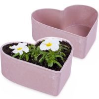 Pflanzschale Herz als Blumenschale Grabschmuck rosa in 22 cm