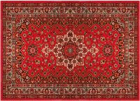 Fußmatte Fußabstreifer DECOR Perser Ornamente rot Orientalisch waschbar 50x70 cm