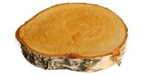 Baumscheibe Holzscheibe zum Basteln Dekorieren 15 – 20 cm