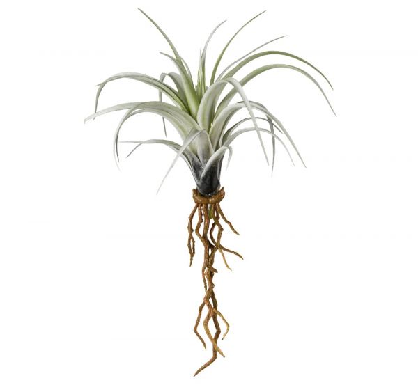 Hauswurz Kunstpflanze Minitillandsie mit Wurzel Deko Kunststoff 1 Stk Ø 19x22 cm