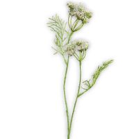 Dill Dillkraut Kunstpflanze Kunstblume künstliche Pflanze Ø 6x56 cm cremefarben