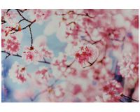 Tischset Platzset Textil CLOTH Kirschblüten Blüten Himmel rosa blau 45x30 cm