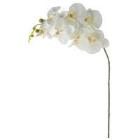 Deko Orchidee mit Blüte, Knospe und Real Touch Gefühl weiß Kunstblume 1 Stk 83 cm
