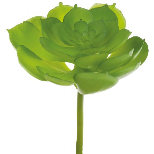 Sukkulente Kunstpflanze mit Stiel realistische Deko Pflanze 1 Stk Ø 9x15 cm