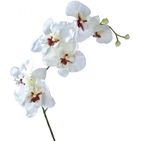 Orchideen Zweig Rispe Kunstblume Seide Kunstpflanze 77 cm 1 Stk - cremefarben