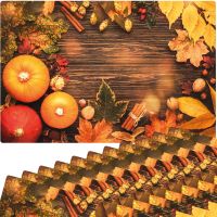 Tischset Platzsets MOTIV abwaschbar Kürbisse Herbstlaub Zimtstangen Holz bunt 12er