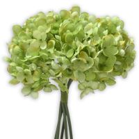 Hortensien Blüten Kunstblumen Blüten Kunstpflanzen 5 Stk / Bund - 25 cm - grün