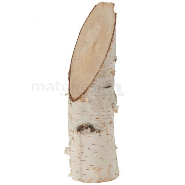 Echtholz Birkenstämmchen Holzstamm Baumstamm Holz schräger Schnitt in 3 Größen