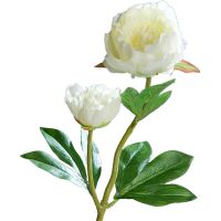 Pfingstrosen mit 2 Blüten Kunstblumen Päonien Kunstpflanze 1 Stk 60 cm - creme