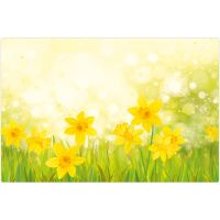 Tischset Platzset MOTIV abwaschbar Frühling gelbe Osterglöckchen Blumen 1 Stk