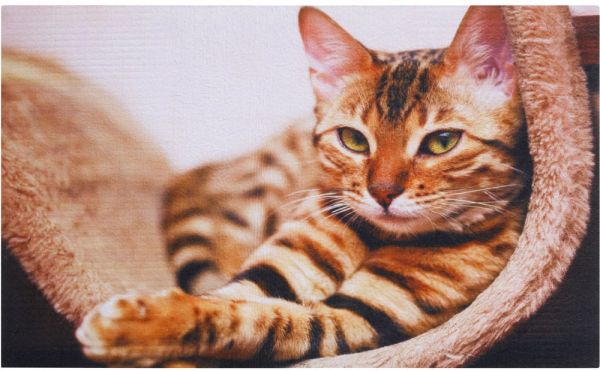 Fußmatte Gummimatte OUTDOOR DECOR Tiermotiv entspannte Katze 1 Stk - 45x75 cm