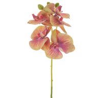 Deko Orchidee mit Blüte, Knospe und Real Touch Gefühl 37 cm 1 Stk apricot